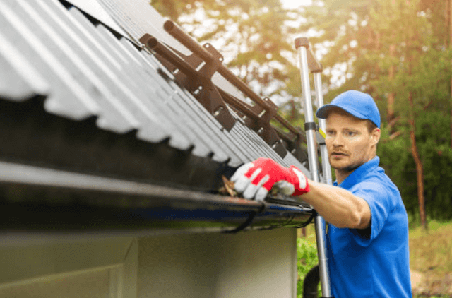 roswell gutter service